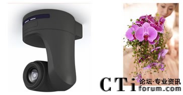 �������^���r��������