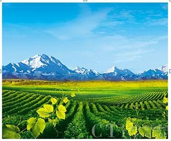 �Ї�(gu��)���Ѿ�